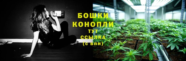 МДПВ Богданович