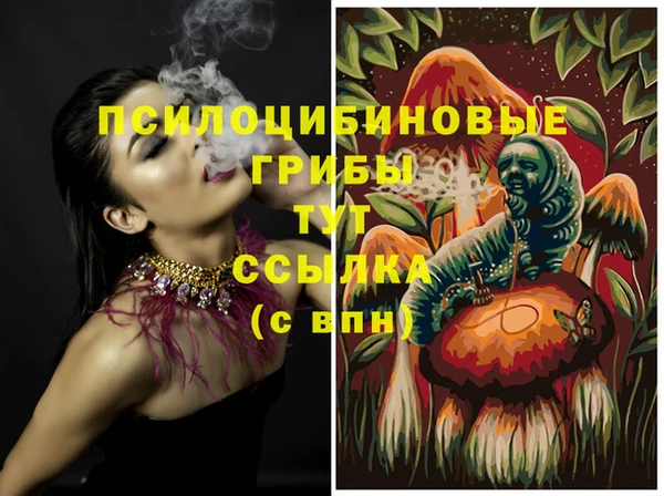 MDMA Premium VHQ Дегтярск