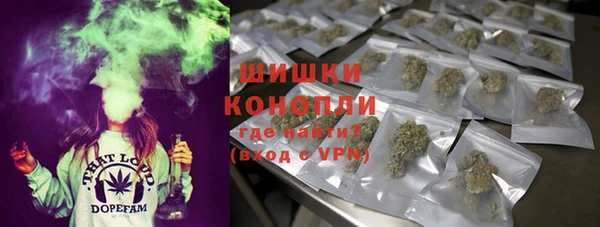 МДПВ Богданович
