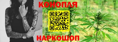спиды Моздок