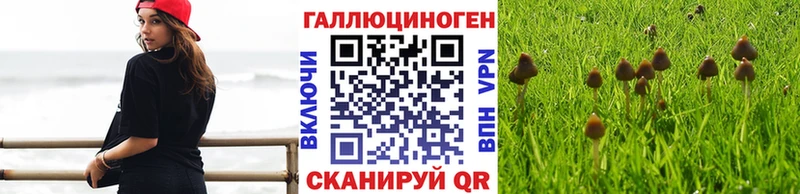 Псилоцибиновые грибы мицелий  shop формула  Гай  ОМГ ОМГ ТОР 