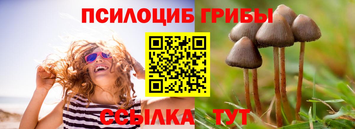 Псилоцибиновые грибы GOLDEN TEACHER Гай