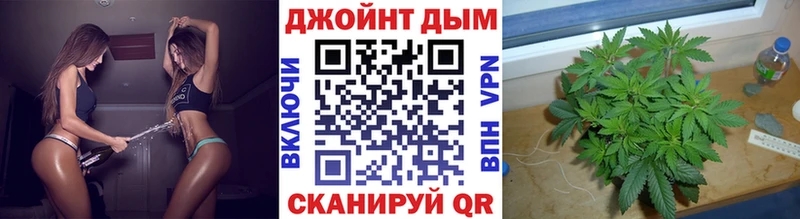 Конопля планчик  Гай 